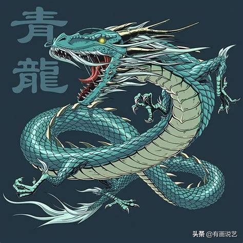 青龍是什麼|青龍